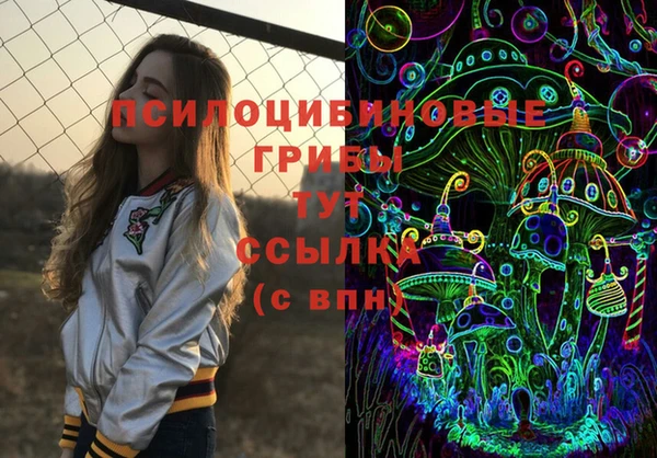 дживик Арсеньев