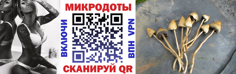ОМГ ОМГ ССЫЛКА  Рошаль  Псилоцибиновые грибы Magic Shrooms 